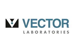 Vector Laboratories logo